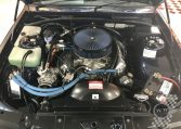 Holden Commodore SV88 Replica Engine | Muscle Car Warehouse