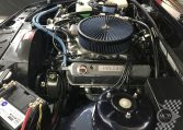Holden Commodore SV88 Replica Engine | Muscle Car Warehouse