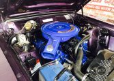 Ford Falcon XA GT Wild Violet Engine | Muscle Car Warehouse