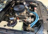 Holden Commodore SV88 Replica Engine | Muscle Car Warehouse