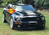 2007 Ford GT 500 Shelby | Muscle Car Warehouse